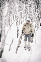 Wooden backcountry skis in birch forest